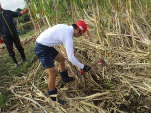 Img_6695_4 Img_6695_4