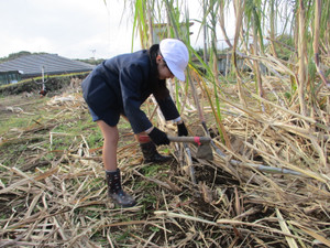 Img_6700_2 Img_6700_2