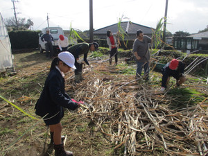 Img_6723_3 Img_6723_3