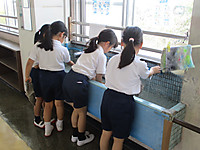 Img_7549 Img_7549