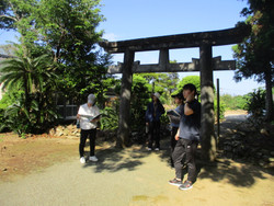 Img_7587 Img_7587