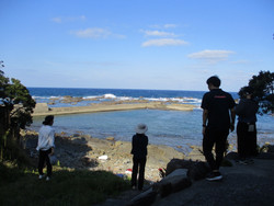 Img_7596 Img_7596