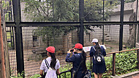 Img_9286 Img_9286