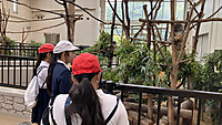 Img_9325 Img_9325