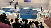 Img_9444 Img_9444