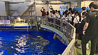Img_9470 Img_9470
