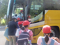 P5221694 P5221694