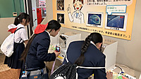 Img_9530 Img_9530