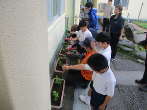 Photo_2