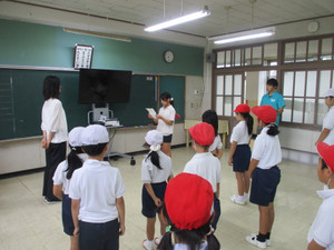 Img_7931 Img_7931