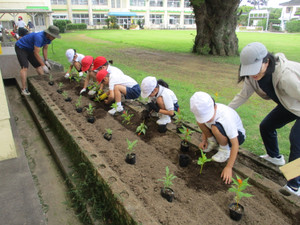 Img_7983 Img_7983
