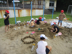 Img_7995 Img_7995