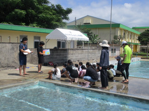 Img_8485 Img_8485