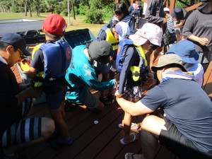 Img_8617 Img_8617