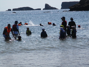 Img_8619 Img_8619