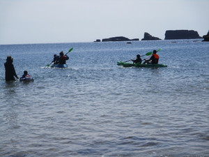 Img_8623 Img_8623