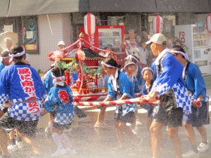 Img_8648 Img_8648
