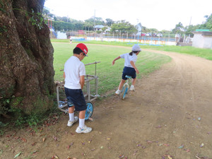 Img_8621 Img_8621