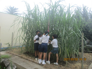 Img_8718 Img_8718