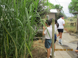Img_8723 Img_8723