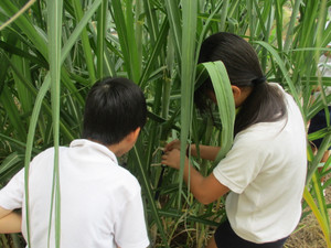 Img_8737 Img_8737