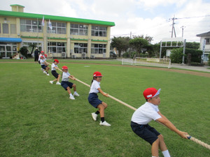 Img_8826 Img_8826