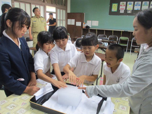 Img_8361 Img_8361