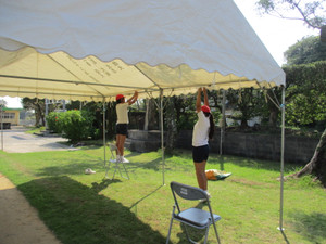 Img_8961 Img_8961