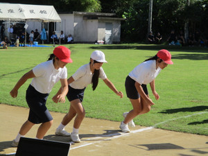 Img_9016 Img_9016