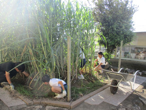 Img_9122 Img_9122
